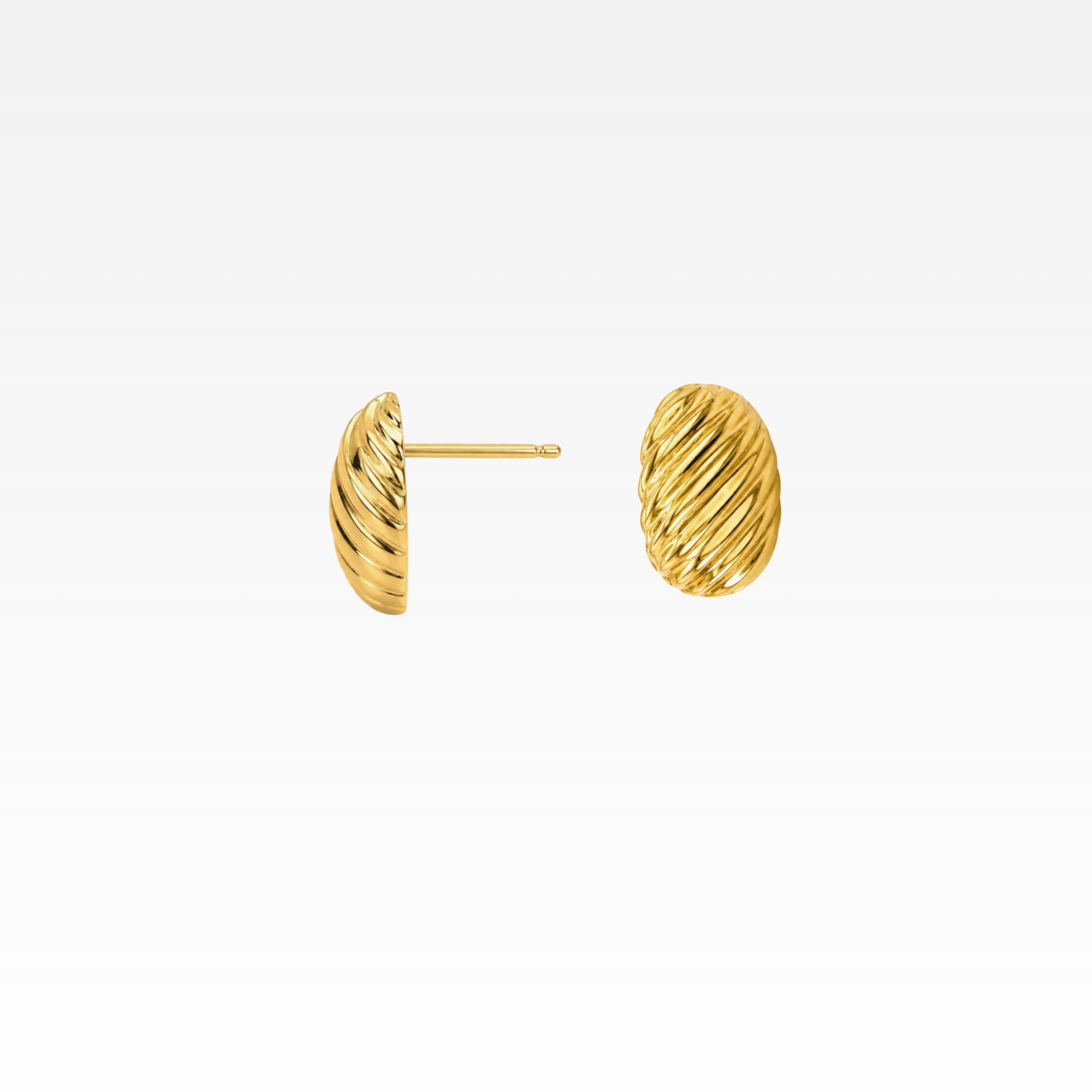 Seashell Gold Earrings