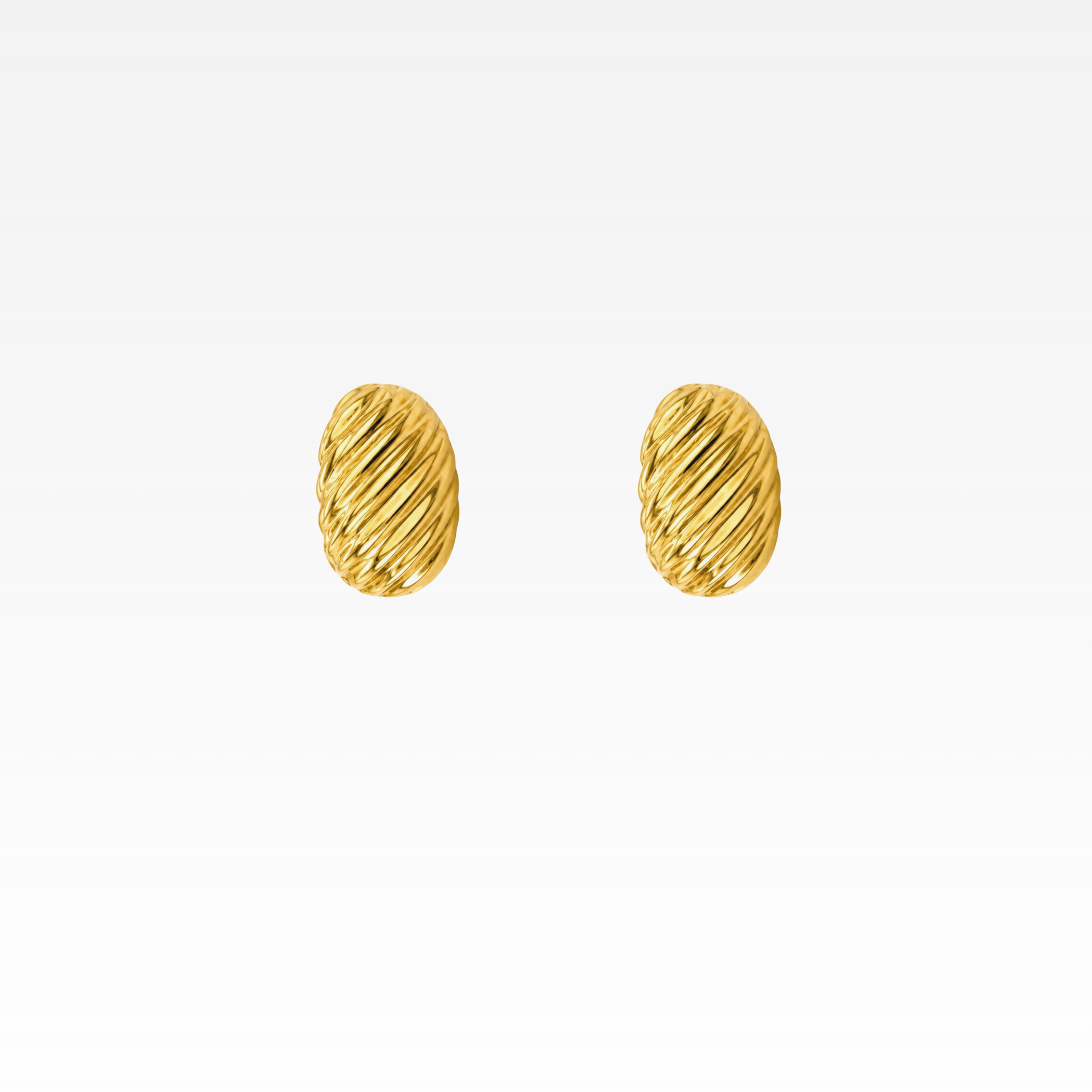 Seashell Gold Earrings