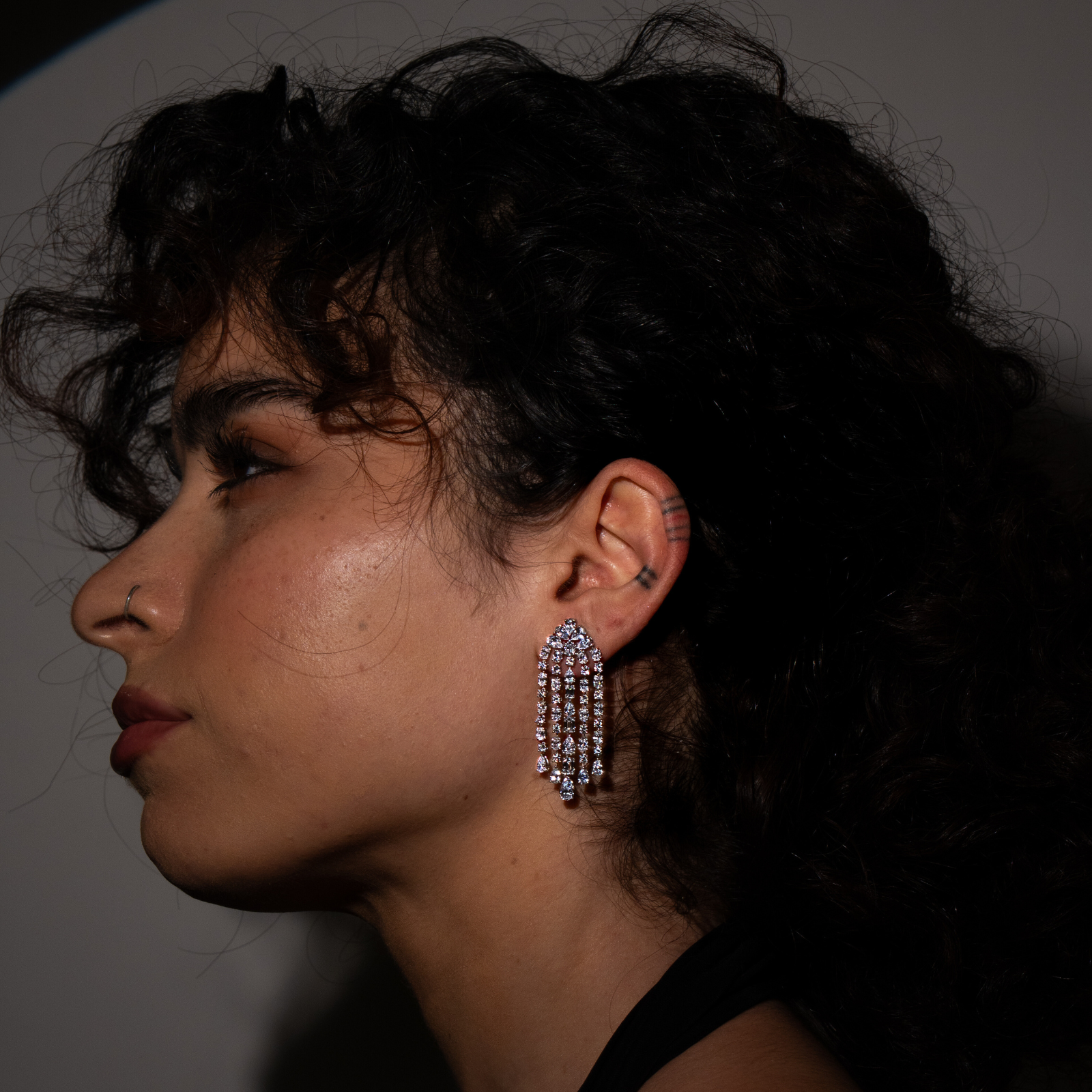 Chandlier Earrings